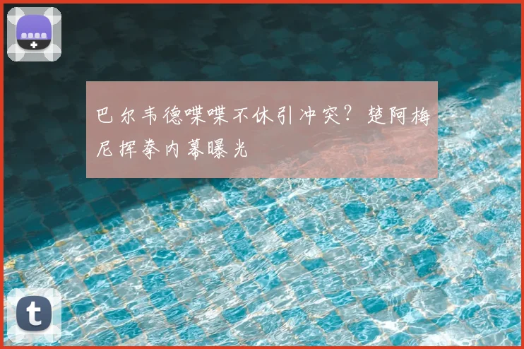 巴尔韦德喋喋不休引冲突?楚阿梅尼挥拳内幕曝光