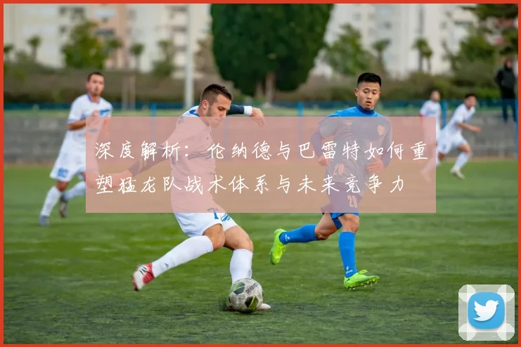 深度解析:伦纳德与巴雷特如何重塑猛龙队战术体系与未来竞争力